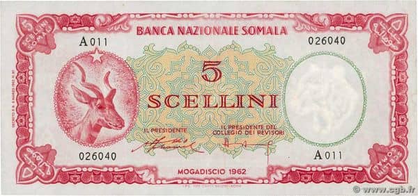 5 Scellini