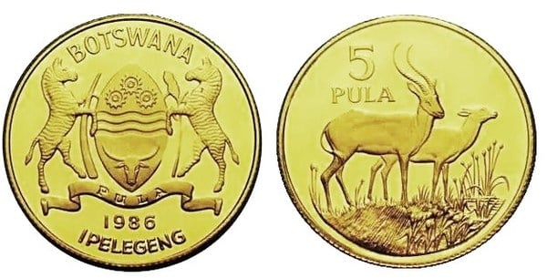 5 pula (Faune)