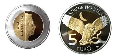 5 euro (Athene noctua)