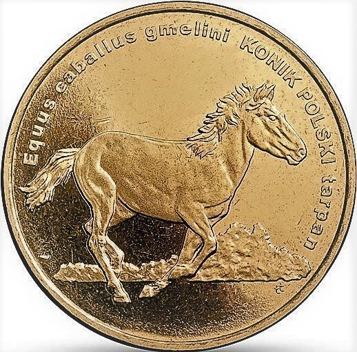 2 zlote (Caballo polaco Konik)