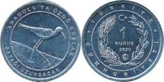 1 kuruş (Échasse à ailes noires)