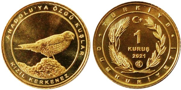 1 kuruş (Crécerelle)