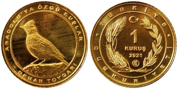 1 kuruş (Alouette totovia)