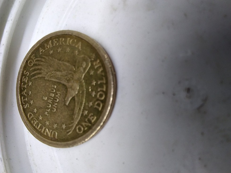 Photo 1 Pièce de monnaie non identifiée: Dólar Americano Sacagawea 2000