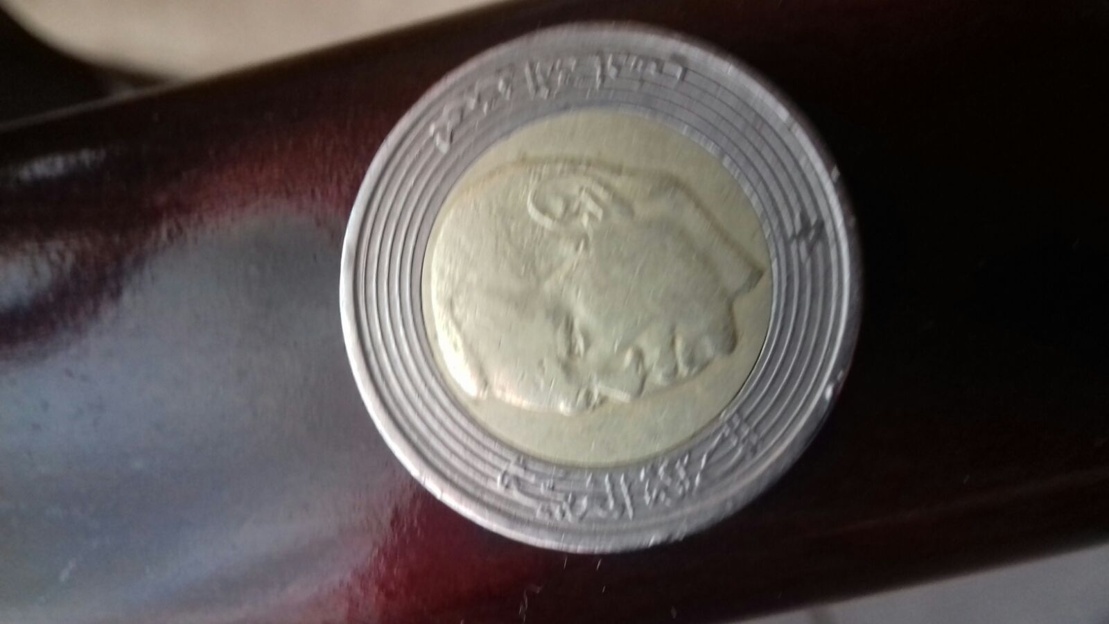 Photo 2 Pièce de monnaie non identifiée: Duda (11/01/2016)