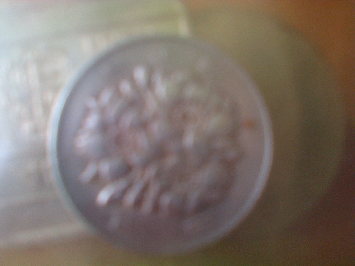 Photo 1 Pièce de monnaie non identifiée: spiner